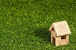 Top 5 Things to Consider When Purchasing Artificial Grass