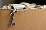7 Tips for Packing Your Home With A Vengeance