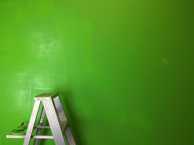Wall Painting Ladder